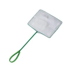 EPUISETTE A VIF WATER QUEEN VERT