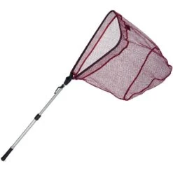 EPUISETTE AUTAIN BOIVRE