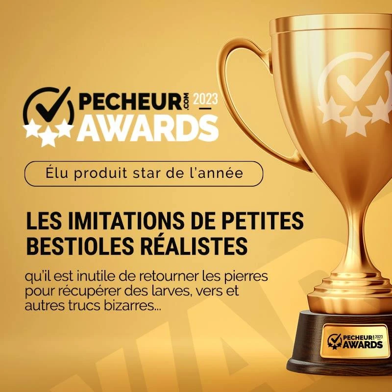 LEURRE SOUPLE FISHUP STONEFLY - 2CM - PAR 12 4 LEURRE SOUPLE FISHUP STONEFLY - 2CM - PAR 12 – Image 2