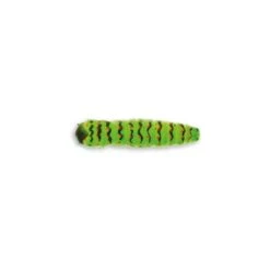LEURRE SOUPLE MOLIX CAIMANO WORM - 4CM
