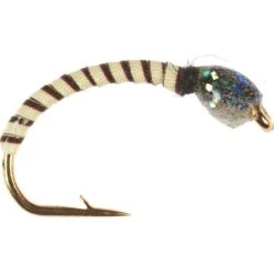 NYMPHE VERTIGONE SQ6 - H14