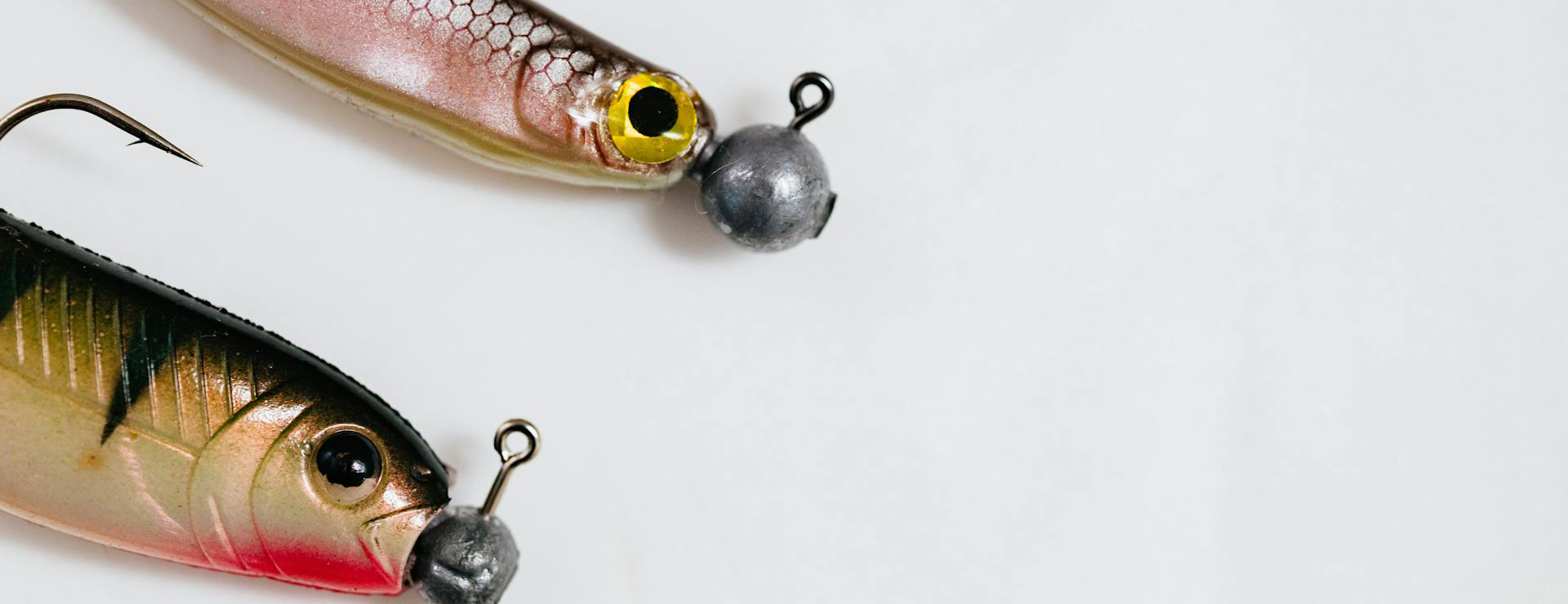 Matériel De Pêche Sportive -Matériel De Pêche Sportive pexels karolina grabowska 6478093